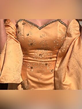 Blush Fairytale Ballgown Purchased at Hall’s of Kansas City